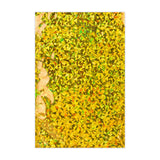 Holografische Folienumschläge